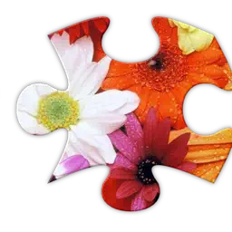 Jigsaws Galore app icon