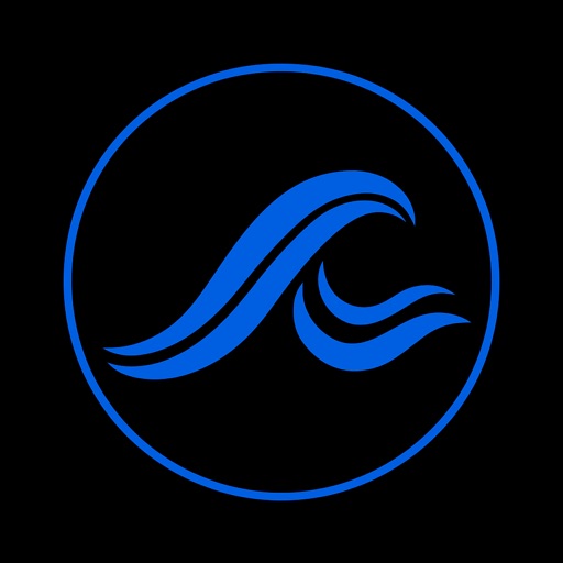 Wave: Ripples to World Tides