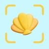 Sea Shell Identifier: AI Scan icon
