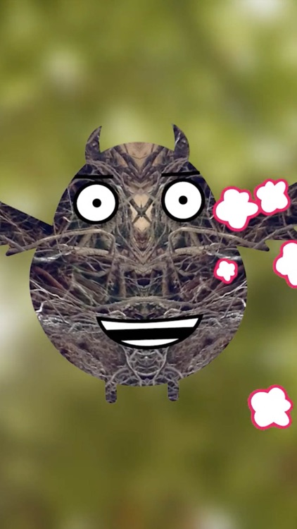 Hidden Creature Gallery