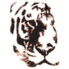 Republic Tiger Sports '25