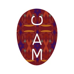 C.A.M.