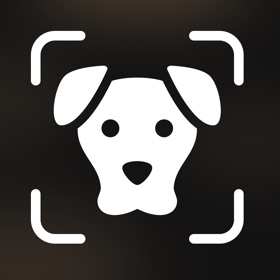 Dog Identifier With AI