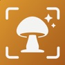 Get Mushroom Identifier: AI Scan for iOS, iPhone, iPad Aso Report