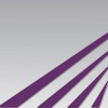 BridgeCU Business Connect icon