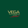 Vega Izmailovo icon