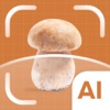 Mushroom ID & Plant Identifier icon