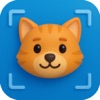 Cat Breed Identifier - Catly icon