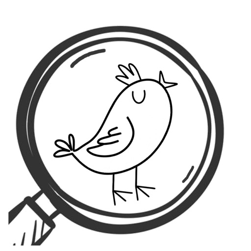 Hidden Birds
