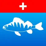 SaNa Fischerprüfung 2024 App Alternatives