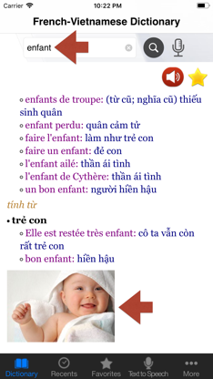 French-Vietnamese Dictionary screenshot 5