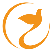 喜鹊喜报Pro