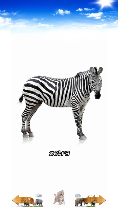 Amazing Animal Sounds Screenshot