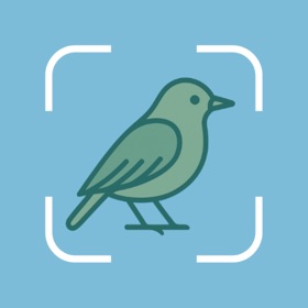 Bird Identifier: Chirply