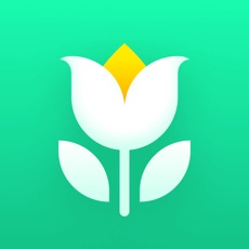 Plant Parent: Plant Care Guide