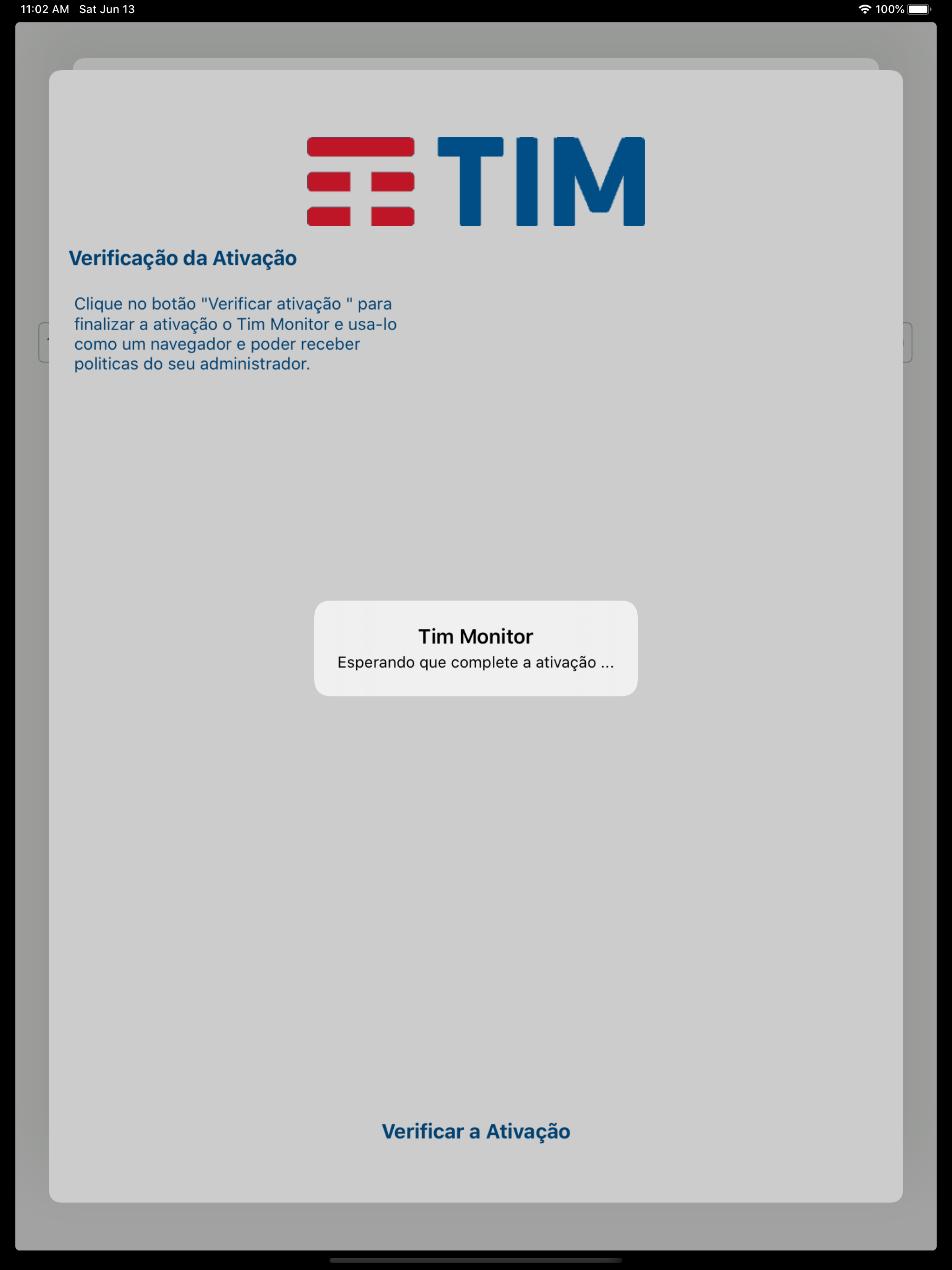 Tim Monitor