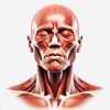 Medical Reference Guides icon