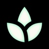 Mana Verse: Breath Practices icon