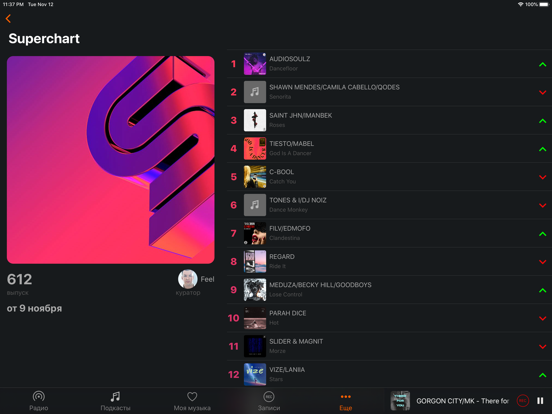 Radio Record Music and Podcast iPad screenshot 5 - Music app