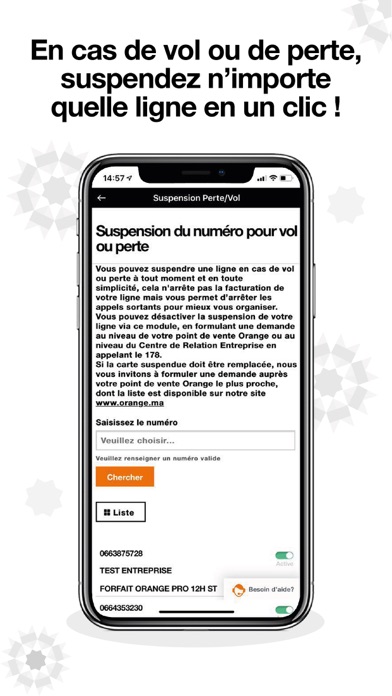 Orange Pro Maroc Screenshot