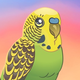螢幕擷取畫面 (7) Bird Kind