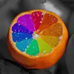 Color Changer-Coloring Editor App Cancel
