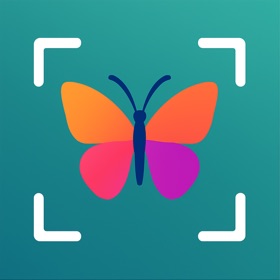 Insect ID: Bugs Identifier AI