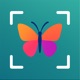 Insect ID: Bugs Identifier AI app icon - Education app for iPhone