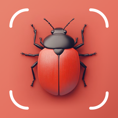 Picture Insect Bug Identifier