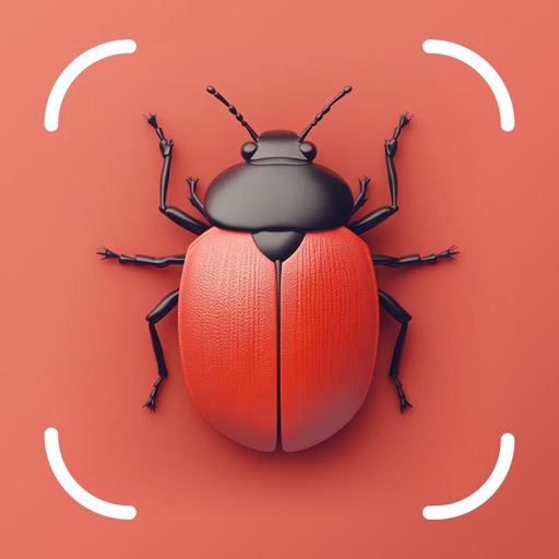 Bug Insect Spider Identifier