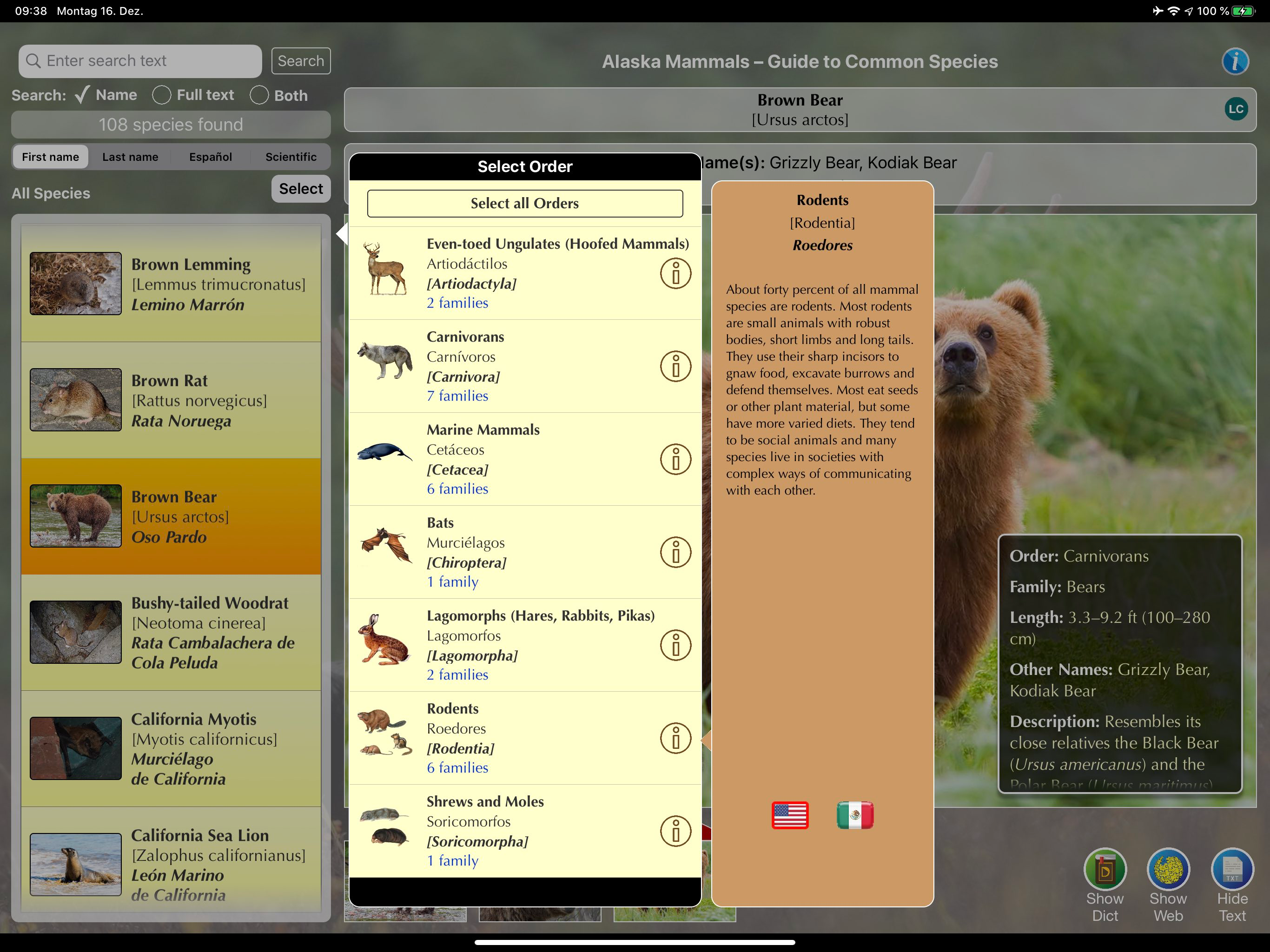 Alaska Mammals
