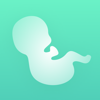 Contraction Counter. Pregnancy - Aleksei Neiman