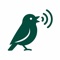 Escape into nature with Chirp - Listen to Bird Sounds, the simple and relaxing way to enjoy the beauty of birds wherever you are
