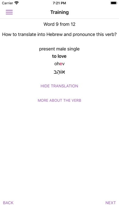 All Hebrew Verbs Guide Screenshot