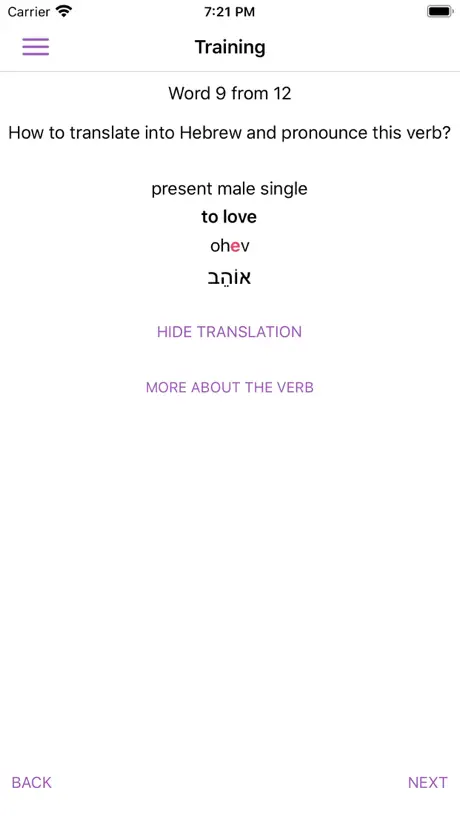 All Hebrew Verbs Guide