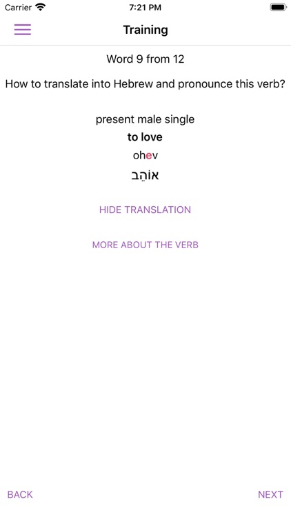 All Hebrew Verbs Guide screenshot-7