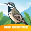 Bird Identifier - Byrdd icon