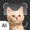 Cat Identifier: AI Scanner icon