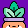 Plant Identifier: Species ID icon