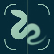 Snake Identifier - Snakology