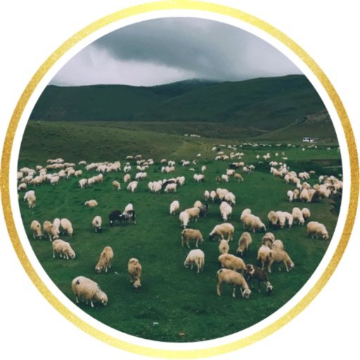 Kelsterbacher Kebabhaus