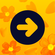 ONAY! - Your City Companion