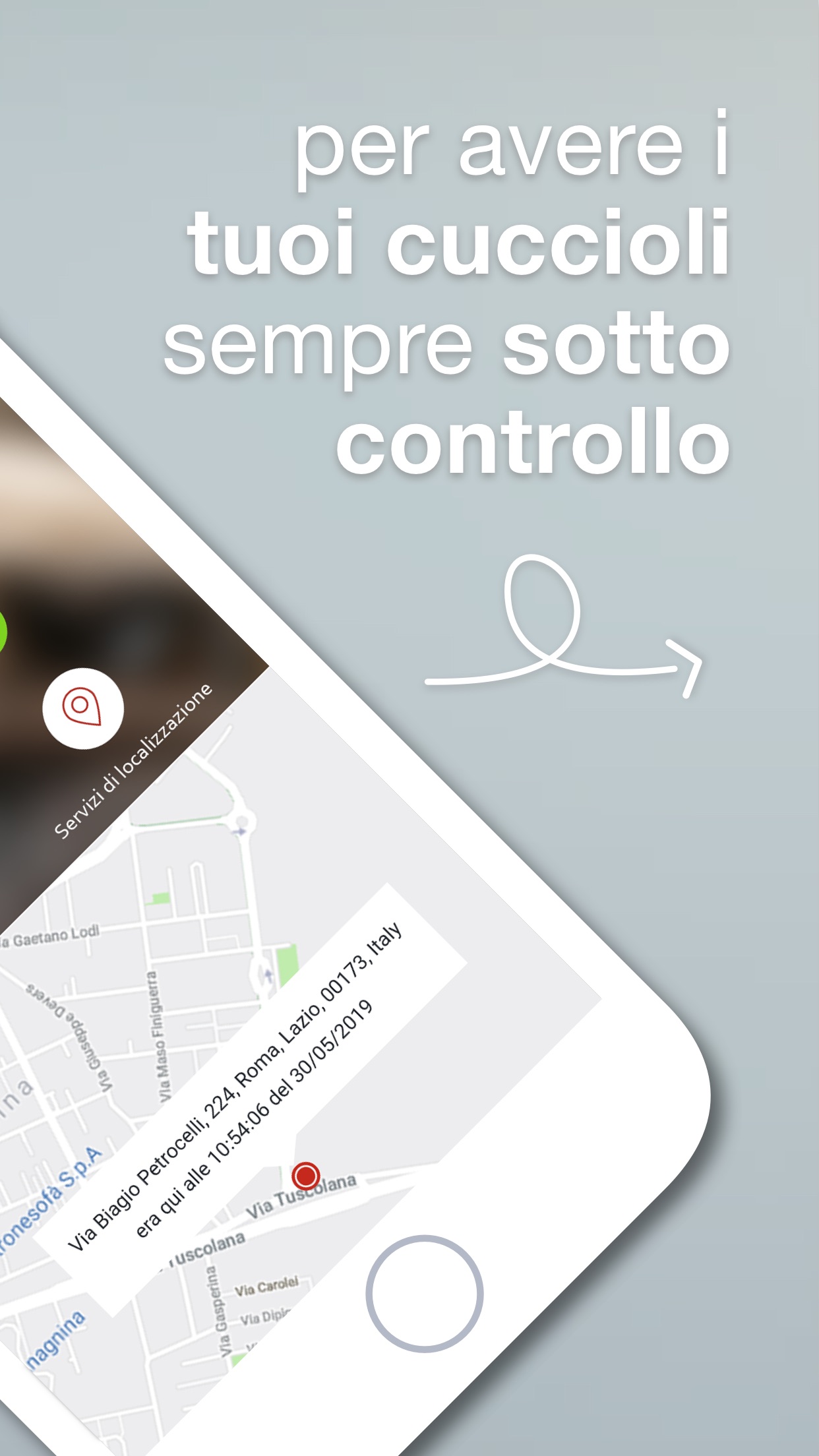 Screenshot 2 of Immagina Cucciolo