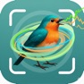 Get Bird Identifier – Sounds,Photo for iOS, iPhone, iPad Aso Report