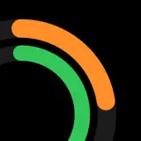 Timing Lions - App Icon