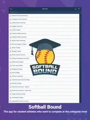 softball bound ipad images 1