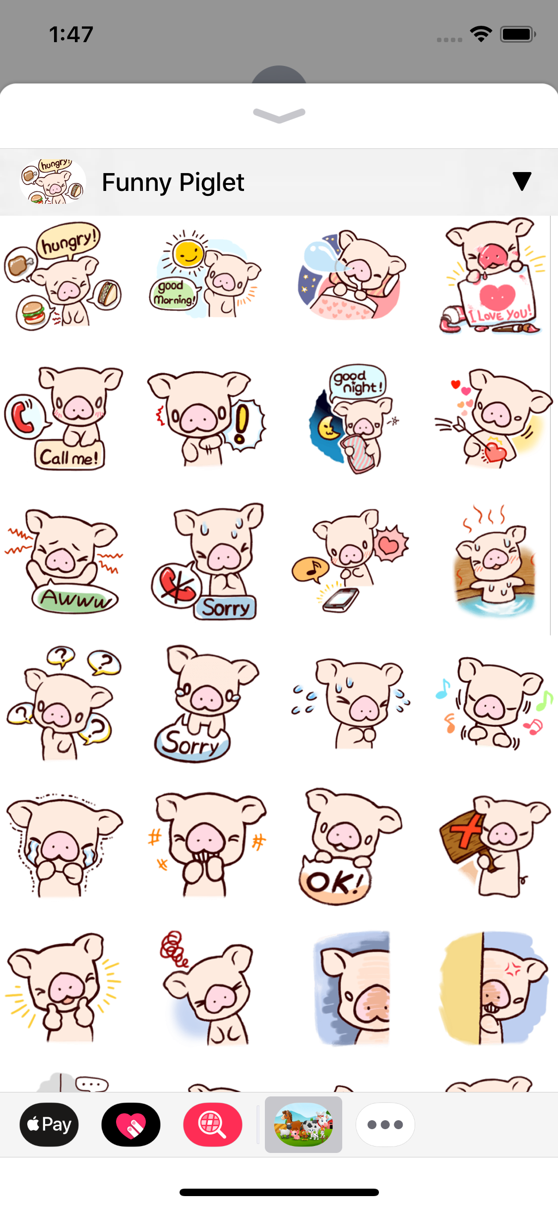 Cute Animal Stickers •