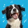 Talking Pet AI: Cat & Dog Talk app icon - Entertainment app for iPhone