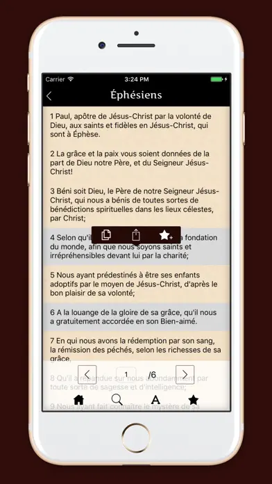 La Sainte Bible - français App Store screenshot 3