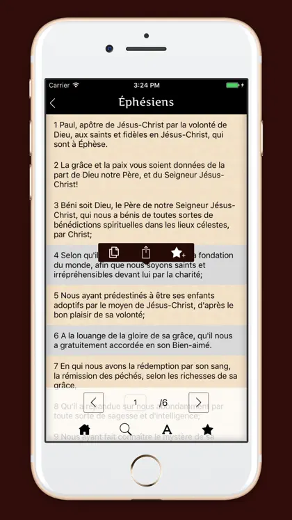 Captura 3 de 5 de La Sainte Bible - français